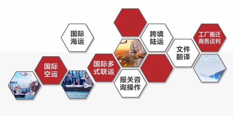 我司越南君临国际公司可操作业务范围